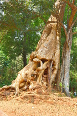 Angkor Thom, Ancient ruins of Cambodia