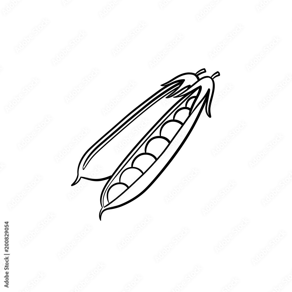 Sticker Peapod hand drawn outline doodle icon. Vector sketch illustration of peapod for print, web, mobile and infographics isolated on white background.