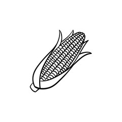 Corn cob vector hand drawn outline doodle icon. Ears of sweet corn vector sketch illustration for print, web, mobile and infographics isolated on white background.