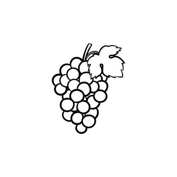 Bunch of grapes vector hand drawn outline doodle icon. Grape vector sketch illustration for print, web, mobile and infographics isolated on white background.