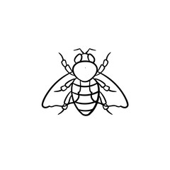 Fly hand drawn outline doodle icon. Vector sketch illustration of fly for print, web, mobile and infographics isolated on white background.