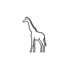 Giraffe hand drawn outline doodle icon. Africa animal - giraffe vector sketch illustration for print, web, mobile and infographics isolated on white background.