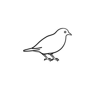 Bird hand drawn outline doodle icon. Vector sketch illustration of bird for print, web, mobile and infographics isolated on white background.