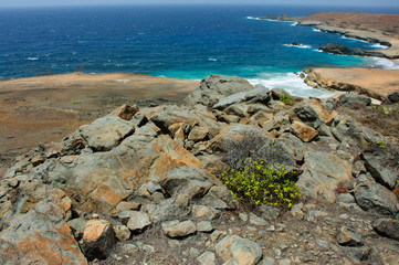 Fototapeta na wymiar Nice view of some Aruba's shore