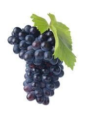 Grape fruit