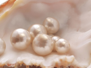 Pearl