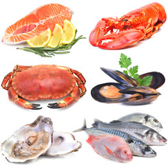 Fresh seafood
