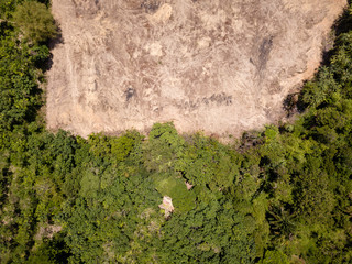 Rainforest Deforestation - Drone view