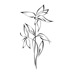 ornament 259. stylized flower with leaves in black lines on a white background