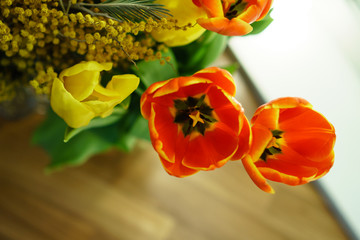 Naklejka premium Bouquet of yellow mimosa, red and yellow tulips. Floral background. Spring mood.