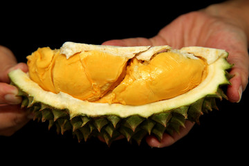 Ready served of ripe Puangmanee Durian peel off in hands