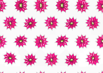 Fototapeta na wymiar Botanical hand drawn pattern with bright pink flowers, seamless tiling texture