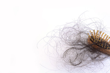 Hair loss,hair fall everyday serious problem, on white background.