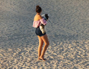 unknown woman has brought her dog to the beach