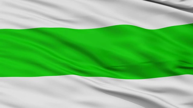 Codru closeup flag, city of Moldova, realistic animation seamless loop - 10 seconds long