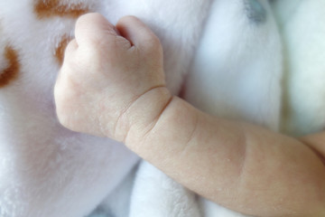 Fototapeta premium BABY