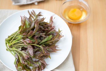 Chinese food, Scrambled Eggs with Toona sinensis,  Preparing food. Fresh Toona sinensis and eggs on table.