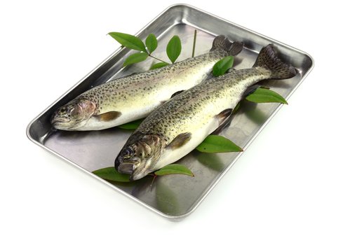 701 件の最適な ニジマス 画像 ストック写真 ベクター Adobe Stock