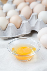 Fresh farm eggs. Egg yolk in glass bowl.