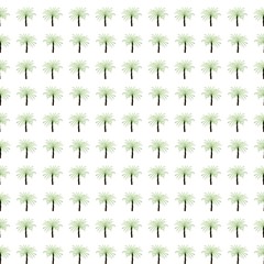 Watercolor tropical pattern. Painted palm trees on white background. Seamless pattern 