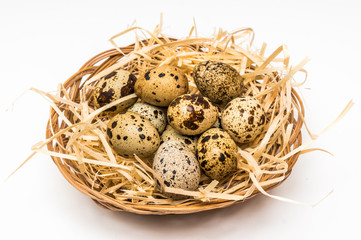 Obraz premium Quail eggs in nest isolated on white