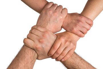Four human arms crossed and holding together