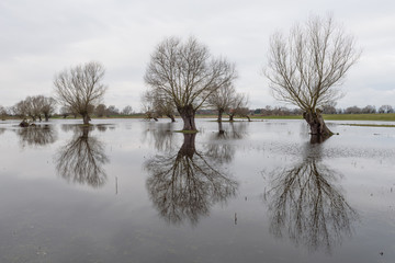 Hochwasser an der Havel in Brandenburg
