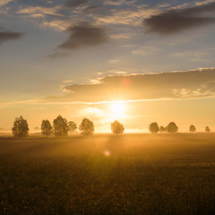 Sonnenaufgang im Naturpark Westhavelland in Brandenburg