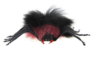 spider toy isolated