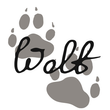 The paw print of a wolf. Grey trail of a wild beast. Lettering vector illustration. Calligraphy handwritten text.