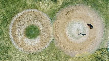 Aerial photo, view of the racecourse with a horse and people to the city of Kiev. Drone photography