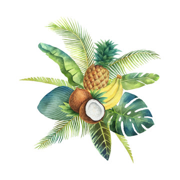 Watercolor vector organic bouquet of fruits and palm trees isolated on white background.