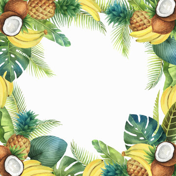 Watercolor vector tropical card of fruits and palm trees isolated on white background.