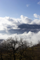 Fototapeta na wymiar mountains in the clouds in the matese park
