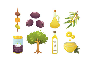 Set olives fruit. Olive oil bottle, tree branch vector illustration in cartoon style.