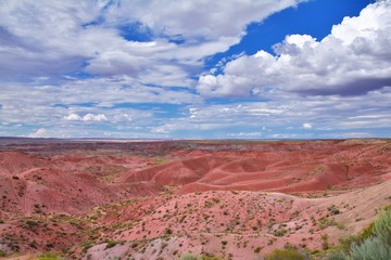 Petrified Forest National Park, USA.