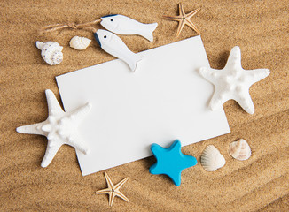 Shells, seastars and an blank postcard