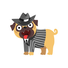 Funny pug dog character dressed as gentleman, funny dog in black hat and striped jacket vector Illustration on a white background