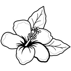 Hawaiian hibiscus flower. Vector black and white coloring page.