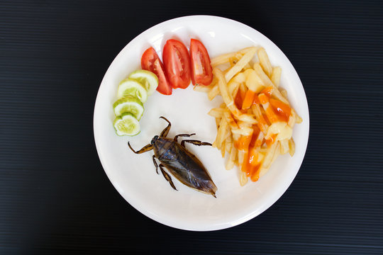 Fried Giant Water Bug - Lethocerus indicus with french fries and vegetable on a plate.