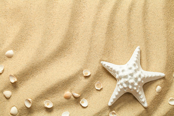 Fototapeta na wymiar Summer, Sand Background with Starfish and Shells