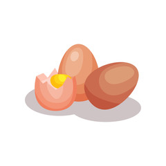Chicken eggs, baking ingredient vector Illustration on a white background
