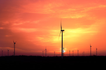 Obraz premium Windmill generators farm at sunset..