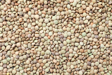 Natural organic lentils. Food background.