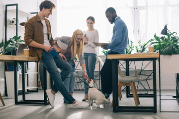multicultural business colleagues with textbooks and jack russel terrier on leash in modern office - obrazy, fototapety, plakaty