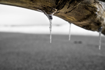 Driftwood with icicles on a winter beach 2
