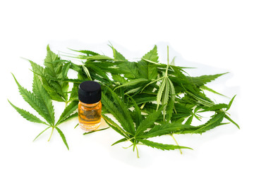 marijuana green leaf, cannabis CSB oil hemp extracts in jars,