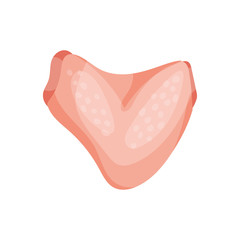 Brisket wing raw chicken part, fresh meat concept vector Illustration on a white background