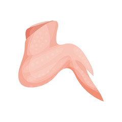 Raw chicken wing, fresh meat concept vector Illustration on a white background