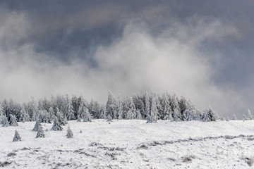 Clouds over a forest in the snow